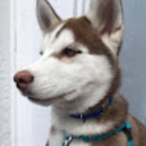 Meet your Posher, Makiko